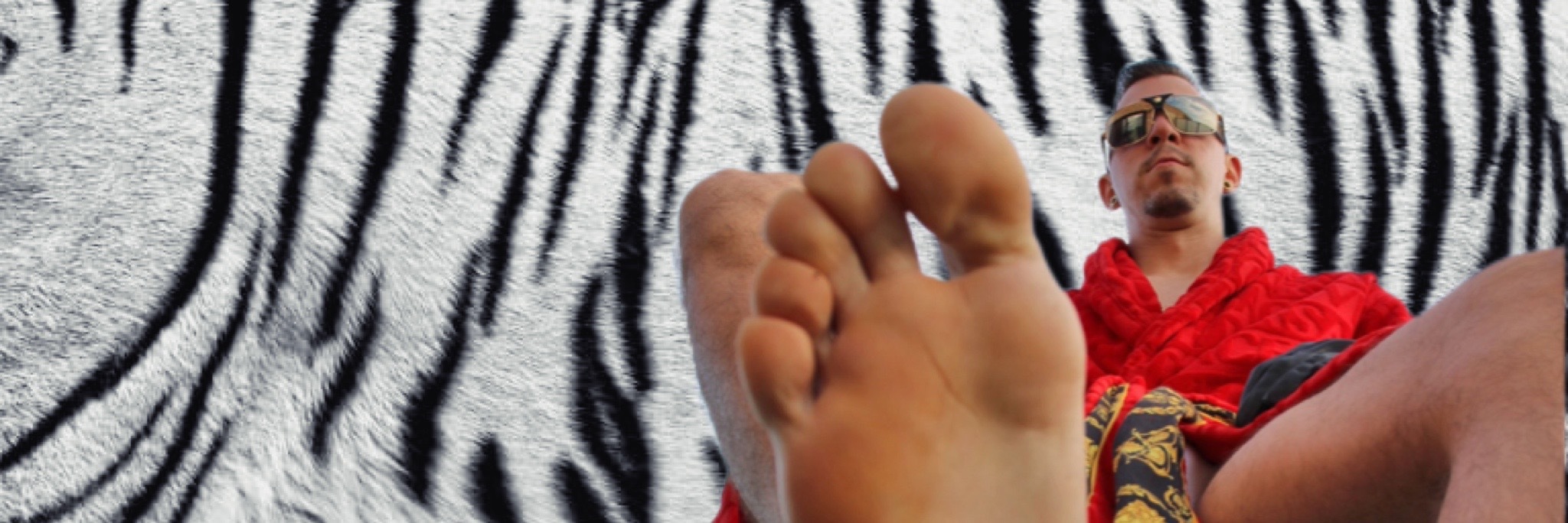 Naslovna fotografija — 👑 White Tiger 👑
