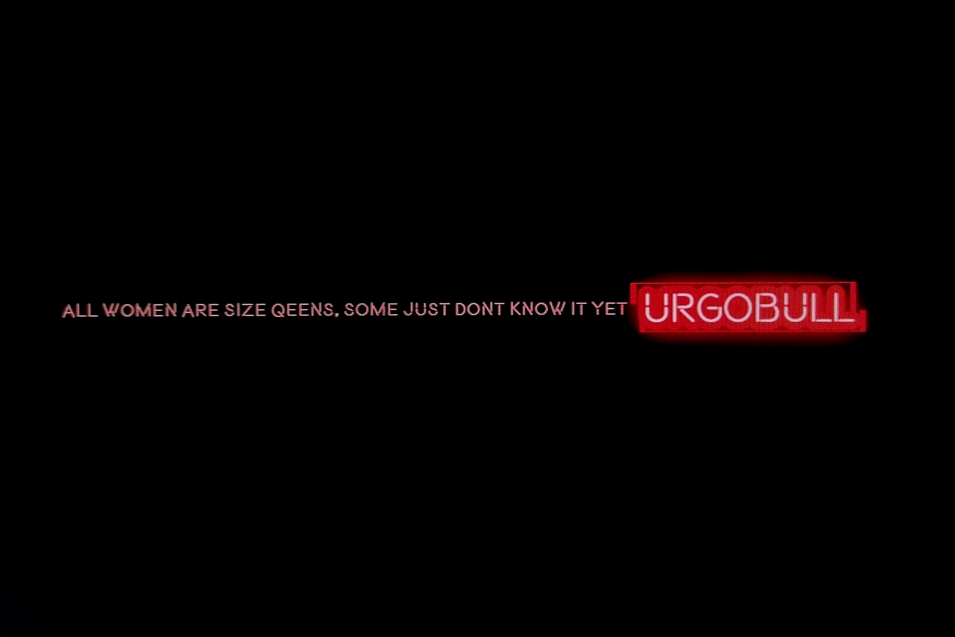 Naslovna fotografija — URGOBULL